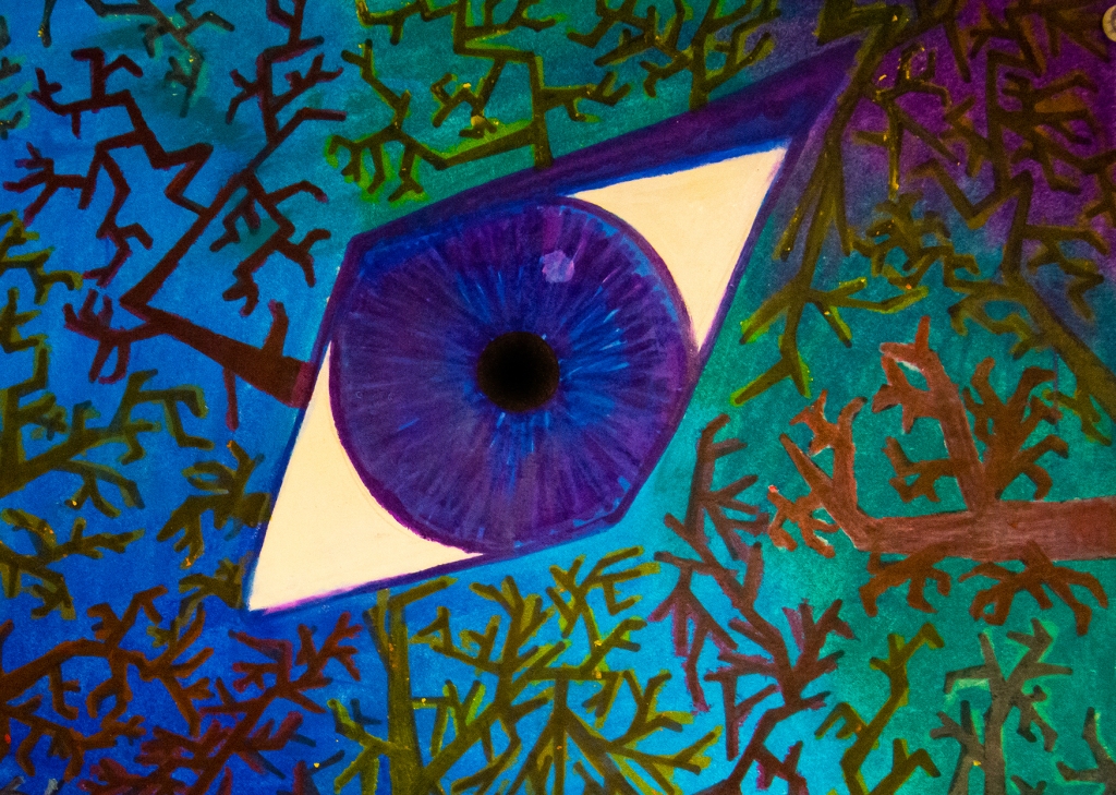 5th grade art lesson - magnified dragon eye